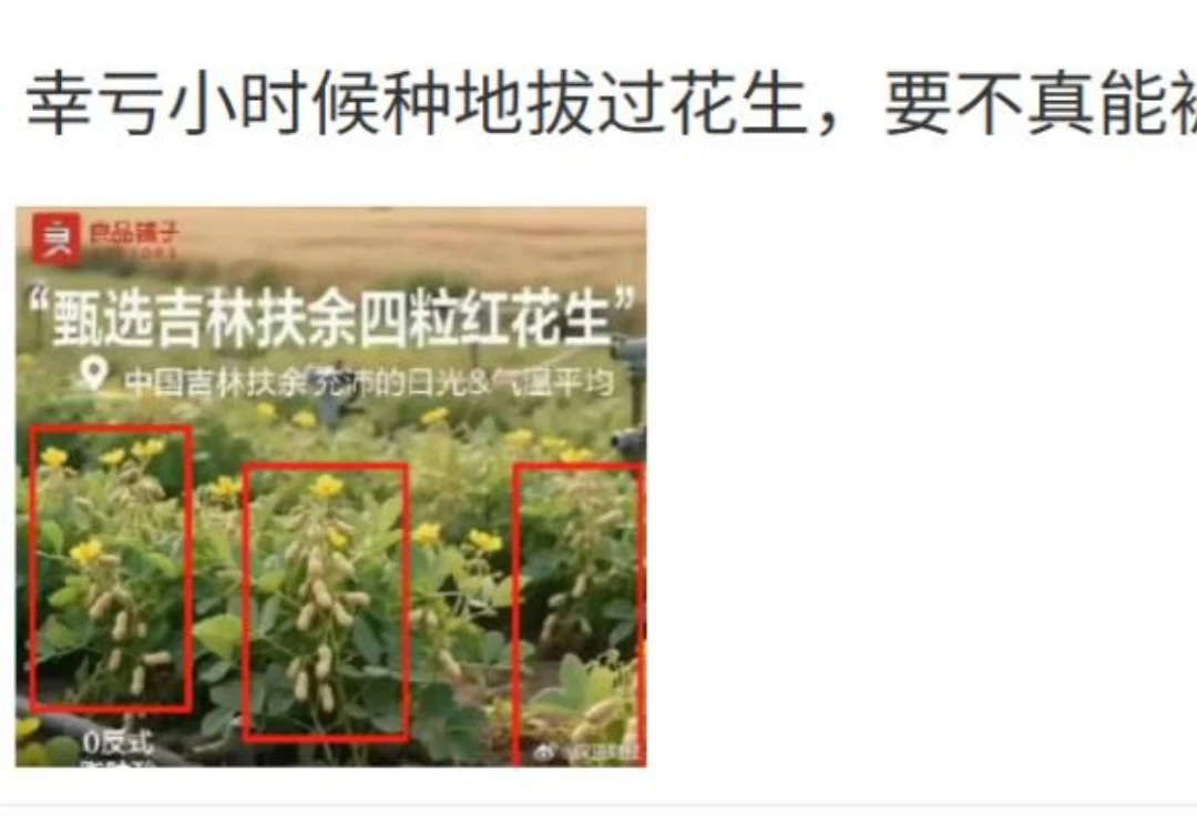 花生上树了？AI 竟然敢这么玩